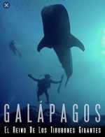 Watch Galapagos: Realm of Giant Sharks Niter