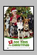 Watch 12 Dog Days of Christmas Niter