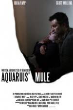 Watch Aquarius Mule Niter