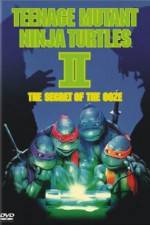 Watch Teenage Mutant Ninja Turtles II: The Secret of the Ooze Niter