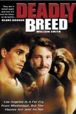 Watch Deadly Breed Niter
