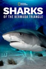 Watch Sharks of the Bermuda Triangle (TV Special 2020) Niter