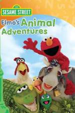 Watch Elmos Animal Adventures Niter
