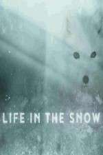 Watch Life in the Snow Niter