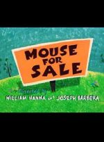 Watch Mouse for Sale Niter