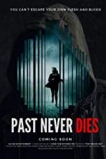 Watch The Past Never Dies Niter