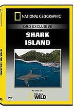 Watch National Geographic: Shark Island Niter
