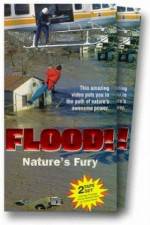 Watch Flood Niter