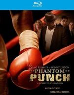 Watch Phantom Punch Niter