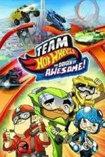 Watch Team Hot Wheels: The Origin of Awesome! Niter