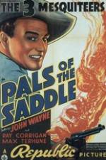 Watch Pals of the Saddle Niter