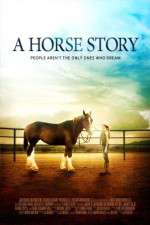 Watch A Horse Story Niter