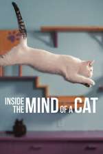 Watch Inside the Mind of a Cat Niter