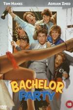 Watch Bachelor Party Niter