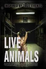 Watch Live Animals Niter