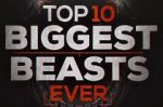 Watch Top 10 Biggest Beasts Ever Niter