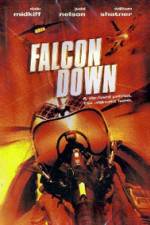 Watch Falcon Down Niter