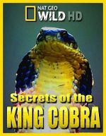 Watch Secrets of the King Cobra Niter