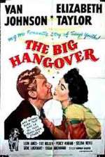 Watch The Big Hangover Niter