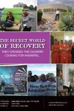 Watch The Secret World of Recovery Niter