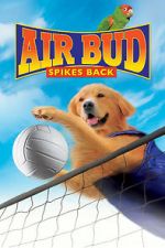 Watch Air Bud: Spikes Back Niter