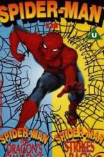 Watch Spider-Man The Dragon's Challenge Niter