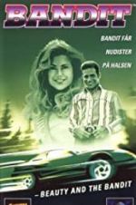 Watch Bandit: Beauty and the Bandit Niter