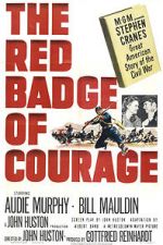 Watch The Red Badge of Courage Niter