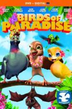 Watch Birds of Paradise Niter