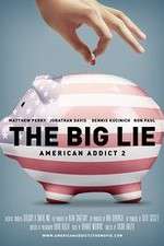 Watch American Addict 2 The Big Lie Niter
