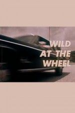 Watch Wild at the Wheel Niter
