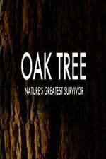 Watch Oak Tree Natures Greatest Survivor Niter