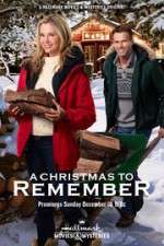 Watch A Christmas to Remember Niter