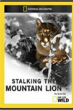 Watch National Geographic - America the Wild: Stalking the Mountain Lion Niter