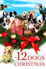 Watch The 12 Dogs of Christmas Niter