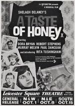 Watch A Taste of Honey Niter