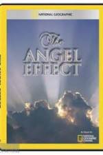 Watch National Geographic Explorer - The Angel Effect Niter