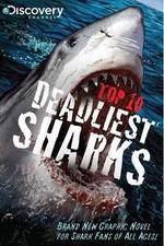 Watch National Geographic Worlds Deadliest Sharks Niter