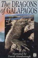 Watch The Dragons of Galapagos Niter