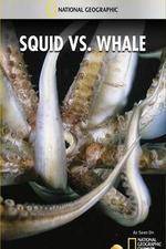 Watch National Geographic Wild - Squid Vs Whale Niter