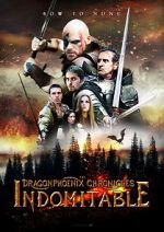 Watch The Dragonphoenix Chronicles: Indomitable Niter