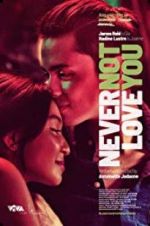 Watch Never Not Love You Niter