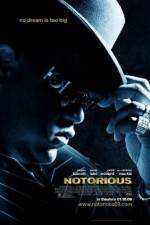 Watch Notorious (2009) Niter