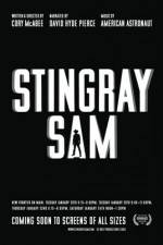 Watch Stingray Sam Niter