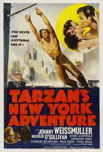 Watch Tarzan\'s New York Adventure Niter