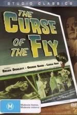 Watch Curse of the Fly Niter