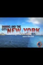 Watch Sharks and the City: New York Niter