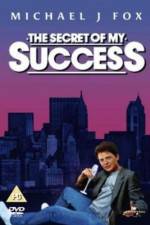 Watch The Secret of My Succe$s Niter
