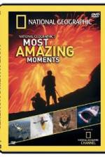 Watch National Geographic's Most Amazing Moments Niter