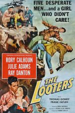 Watch The Looters Niter